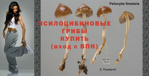 стафф Верея