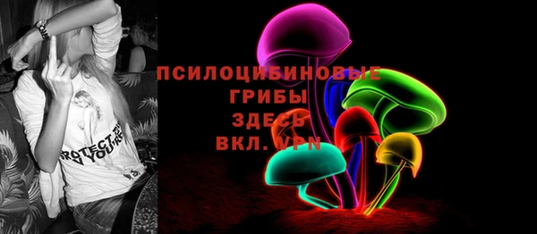 стафф Верея